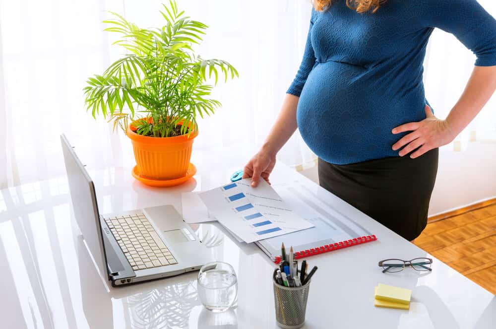 Maternity and Employment Law